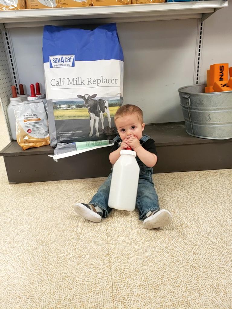 WashingtonVet_'s tweet photo. Calving season is in full swing!  WVC is here for all your calving needs including colostrum, milk replacer,  bottles, and nipples.  Stop in and stock up! 

#calving2021 #BePrepared #savacalf https://t.co/nNpHxUJ2XI