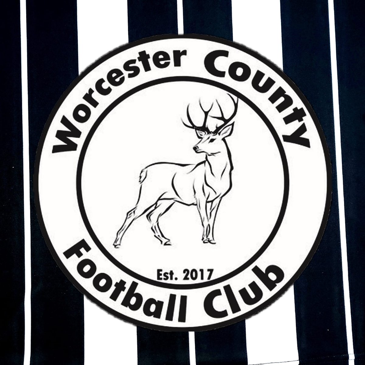 We've launched a fundraiser to aid our clubs growth! Any donations of $10 or more will automatically enter you into a raffle to win a Home or Away 2021 jersey. The link to our fundraiser is below. 

gf.me/u/zmnyv9

#COYS