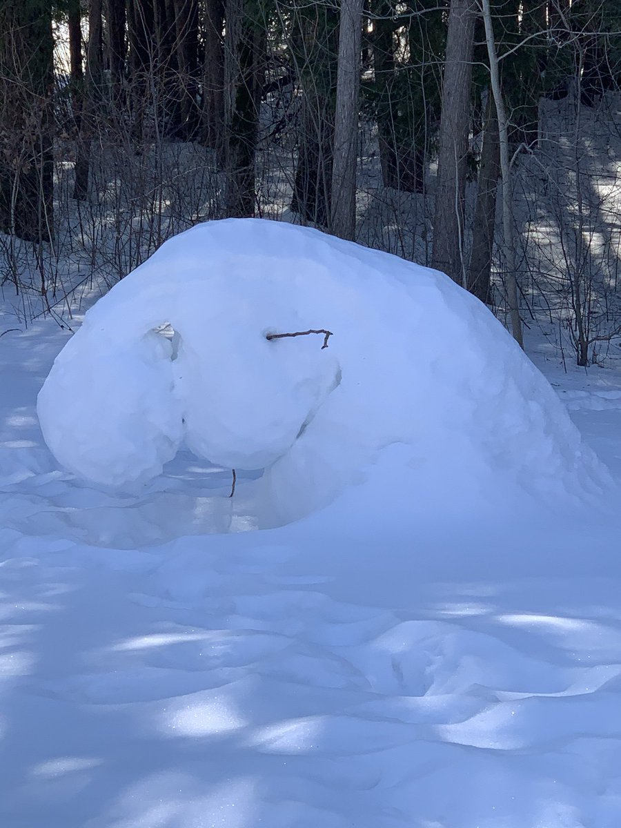 Doug Tetzner tweet media