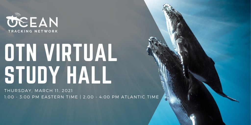 OceanTracking's tweet image. OTN study hall has a special guest this week! Ethan Lawler will join us to talk about his staRVe R package—tune in and share your acoustic telemetry questions and problems. Reach out to @CaityBate or @j_pye for the participation link, or send an email to otndc@dal.ca.