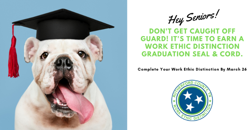 RuthWorksTN's tweet photo. Hey High School Seniors! Got a job? Is it the job you want to keep forever? If not, make sure to complete the Work Ethic Distinction. Companies across TN recognize the program &amp; that means you'll have access to interview with employers across the state. https://t.co/rUMD7I1SPx