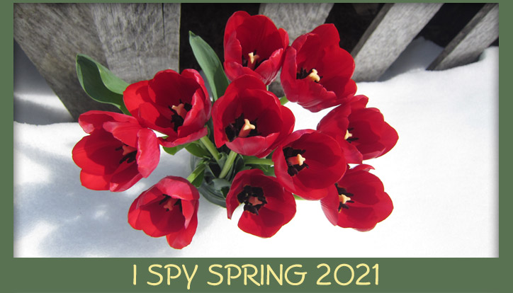Crimson_Designs's tweet photo. I Spy Spring 2021... and it feels hopeful.

#SpringIsComing #Spring2021 https://t.co/dj2iM4KBKF