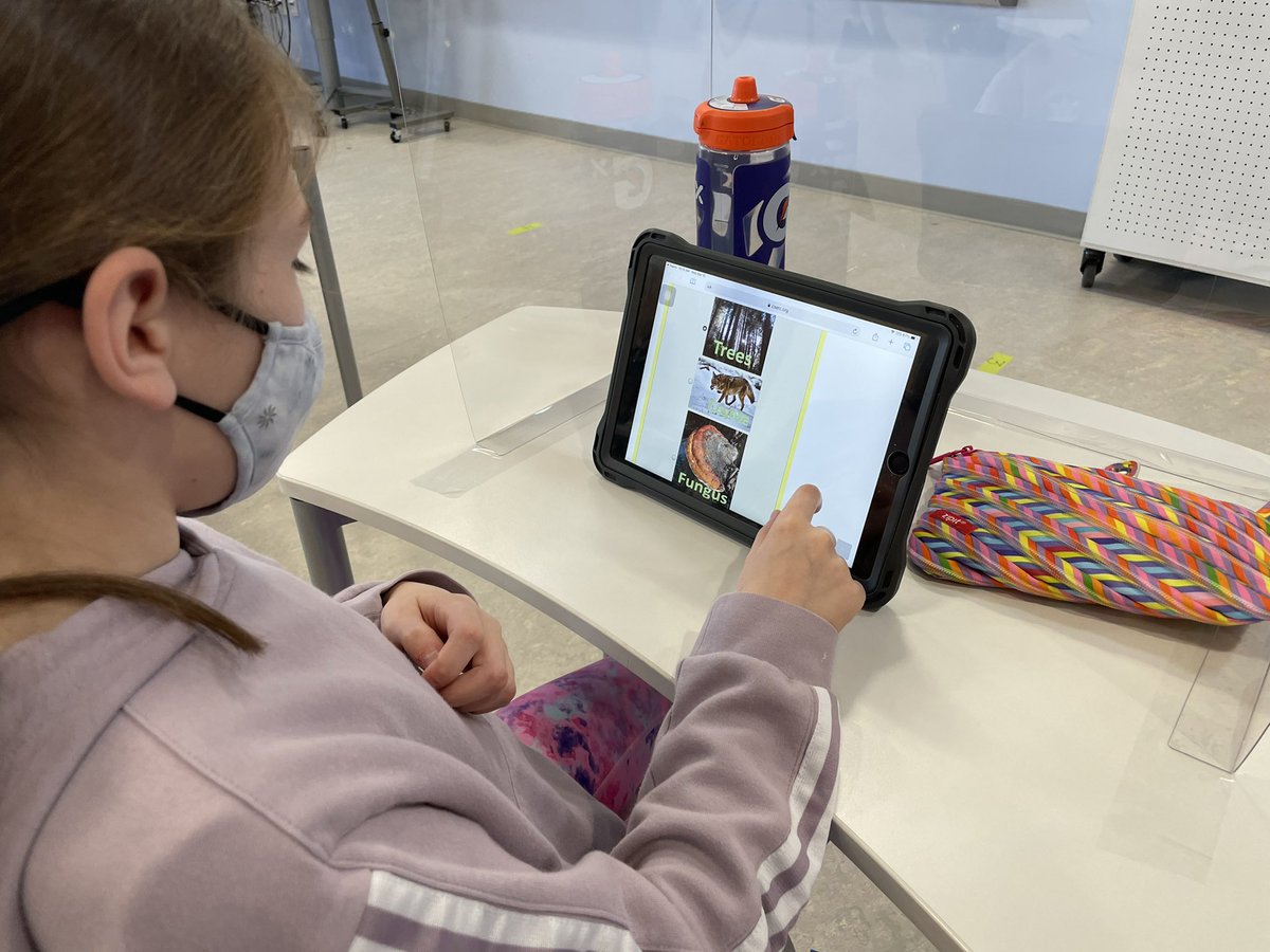 Mr. Timke's Class tweet media