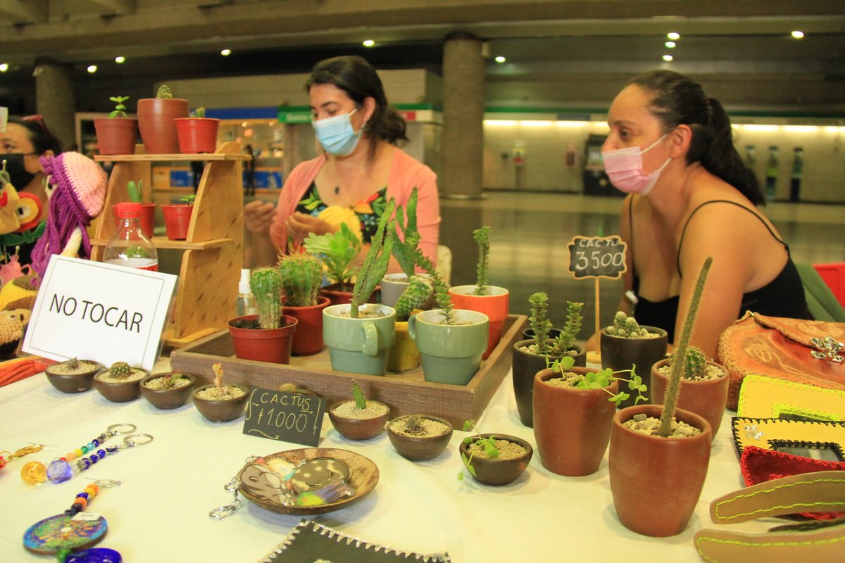 Municipalidad de Quinta Normal tweet media