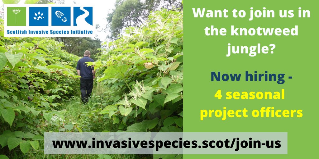 SISI_project's tweet image. You've still got 1 week left to apply to join our team! 

4x seasonal project officer jobs available😃

More info 👉invasivespecies.scot/join-us

@nature_scot @HeritageFundUK @FNL_Trust @DBIRCT @EskandTaySISIPO @cromartyboard @EsksBoard