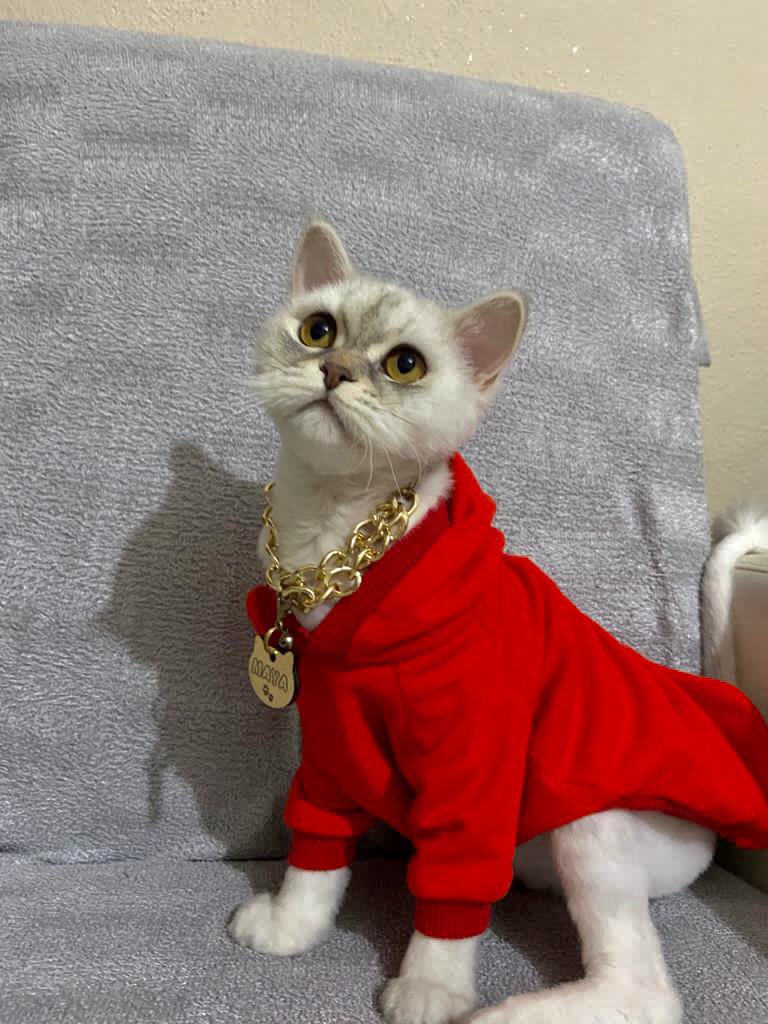 bu minnosun teyzesiyim arkdslar🥺❤️