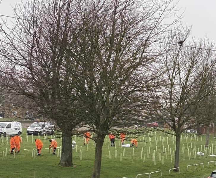 MugsForum's tweet photo. 10 sites in #Medway have benefited from the new community woodlands;
#Priestfields #HorstedValley #Strand & #HookMeadow. Over the coming years these new pocket sized woods will grow, increasing wildlife
biodiversity, reducing air pollutants & enhance our #greenspaces. https://t.co/M2HfcLUFue