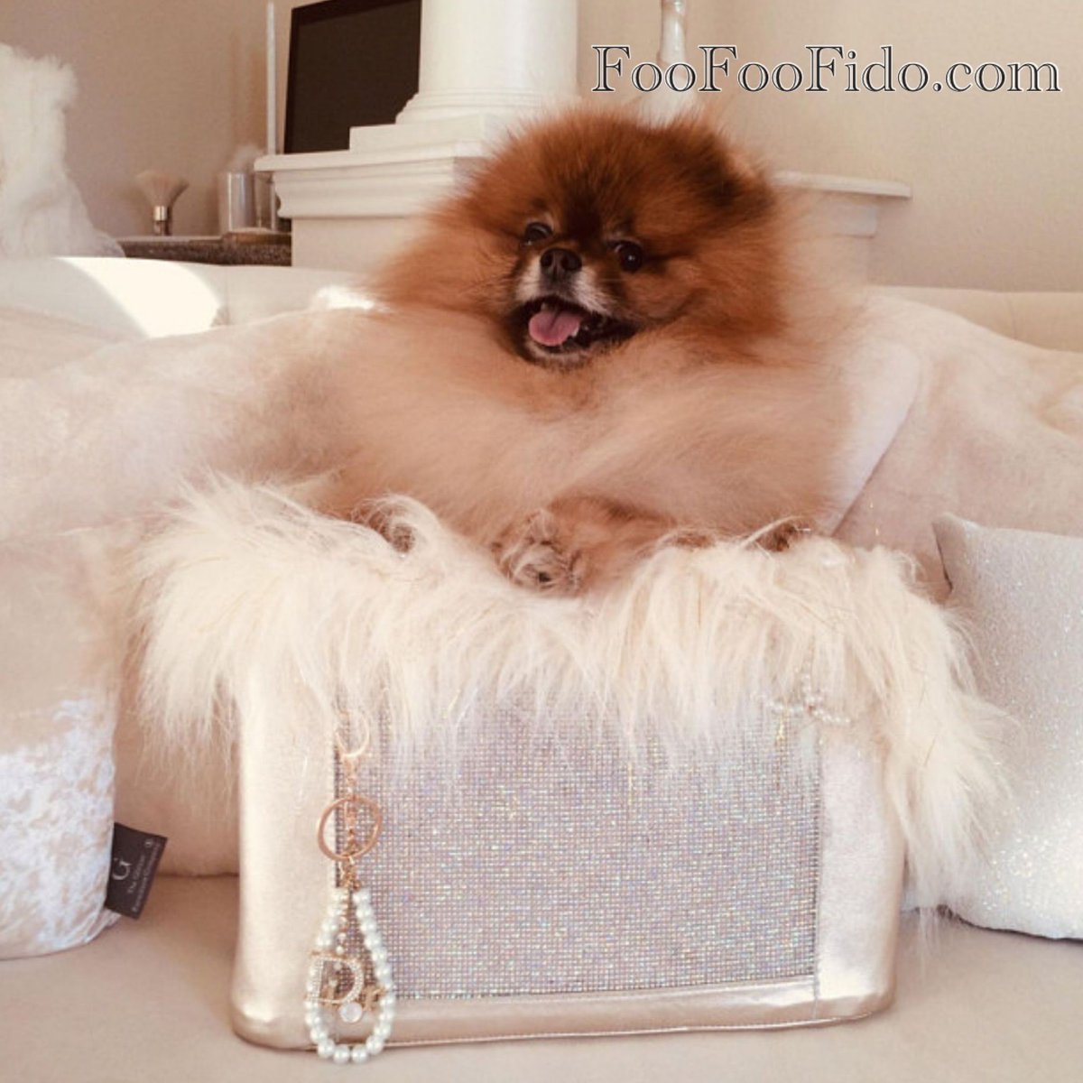 FooFooFido's tweet photo. She who leaves a trail of glitter is never forgotten.￼
💖🐾💎����👑
*
*
*
#dog #bag #pet #tote #crossbody #travel #petcarrier #purse #handmadebag #design #custom #ooak #oneofakind #artisan #pomeranian #fashion #etsy #etsyseller #madeinusa #foofoofido #veganleather #madewithlove https://t.co/mB96D8fGXq