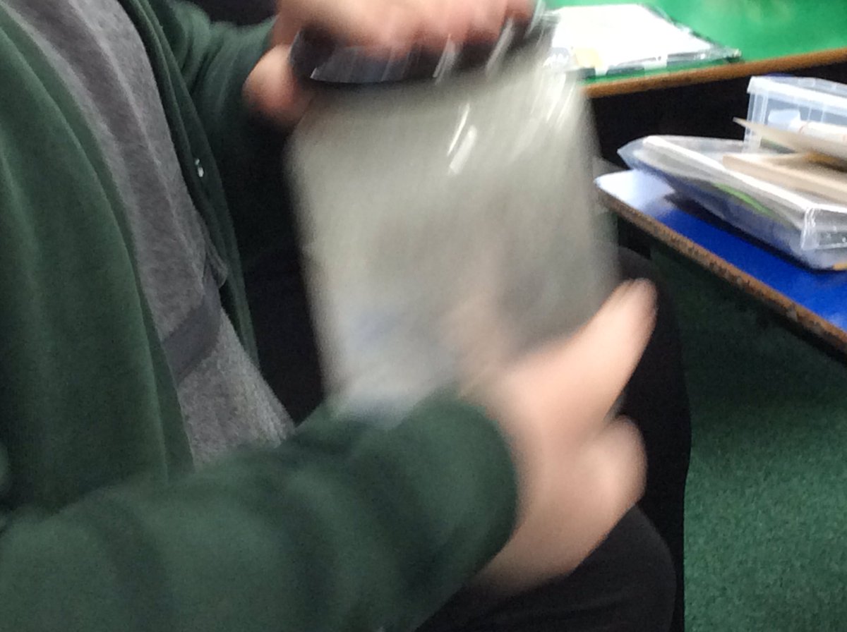 Timbertree Year 2 tweet media