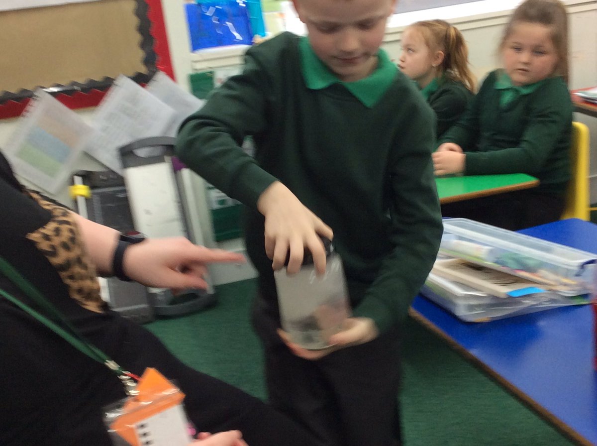 Timbertree Year 2 tweet media