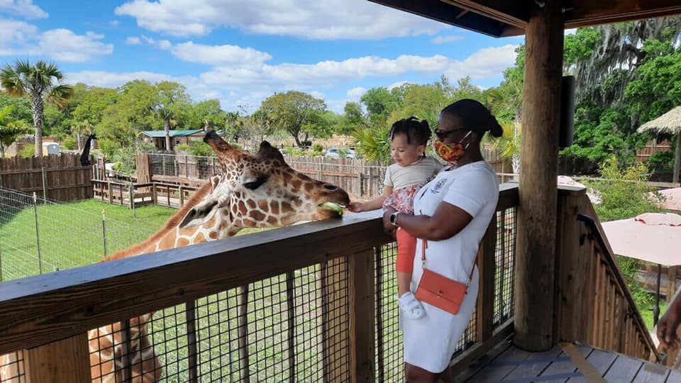 FFCFL's tweet image. Trip to the safari! Such a perfect day for Aleah and her caregiver to bond and learn all about animals. Thank you to our donors that make opportunities like this possible for Aleah and other foster youth!