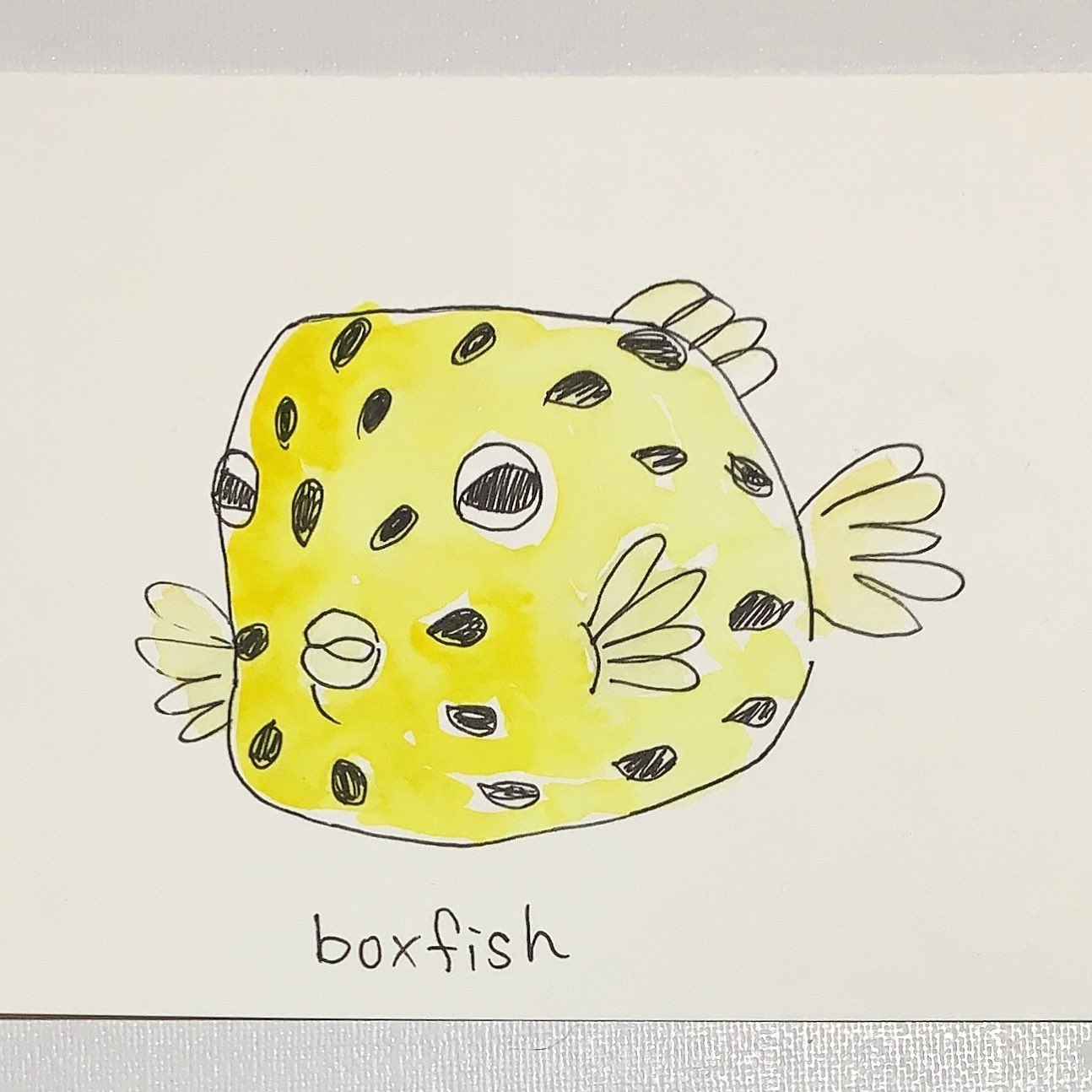 Miho Waseda 最近 海の生き物をよくみてる ちょっと怒ったような表情が 可愛い Boxfish ボックスフィッシュ 手描き イラスト好きと繋がりたい えかきさんと繋がりたい イラスト Illustration さかないらすと T Co Exxcqjbxgs Twitter