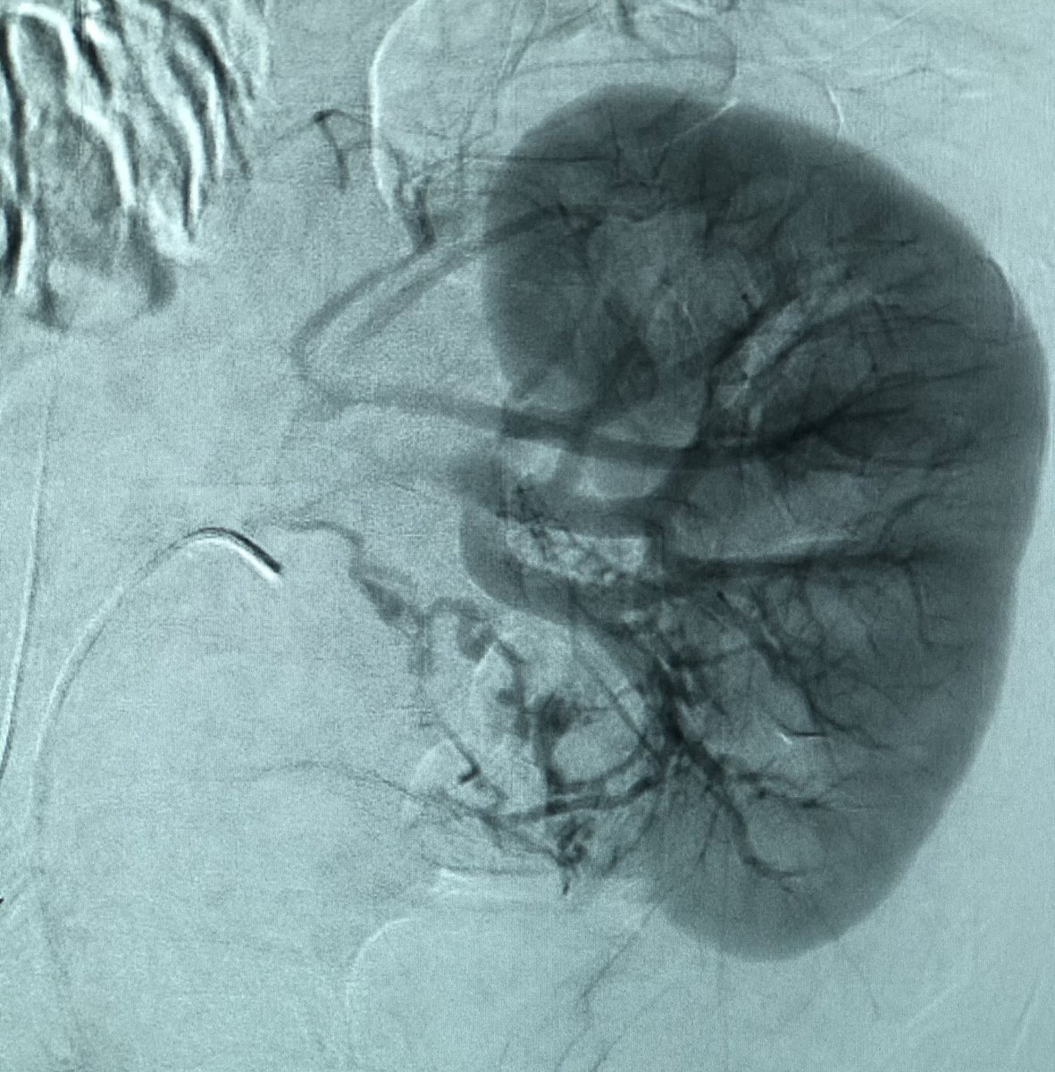 zachary masi tweet media