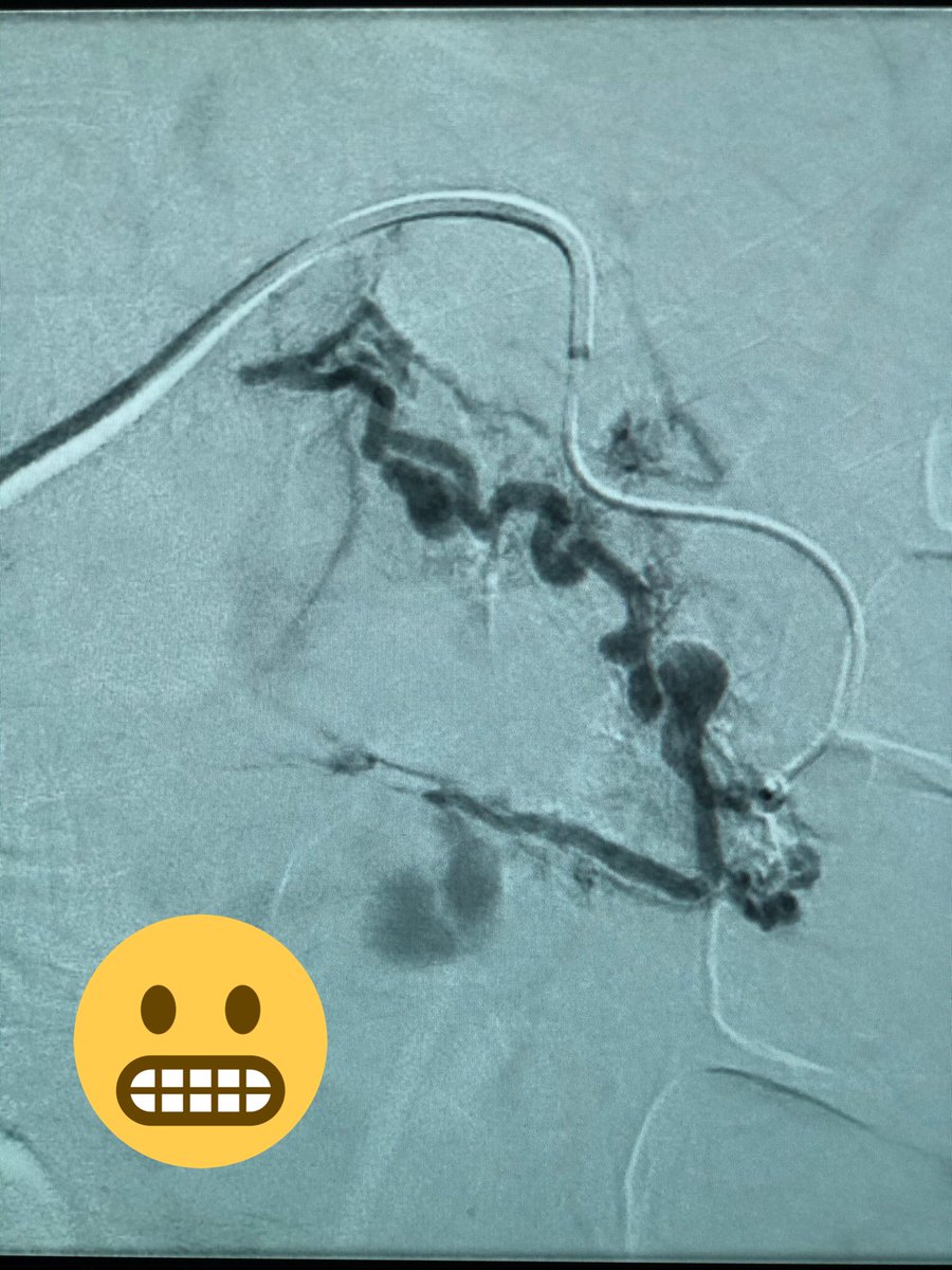 zachary masi tweet media