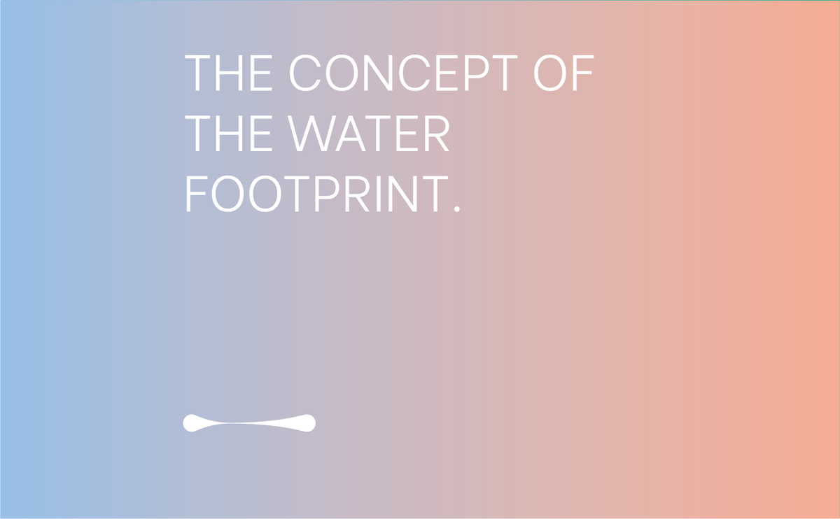Water To Food tweet media