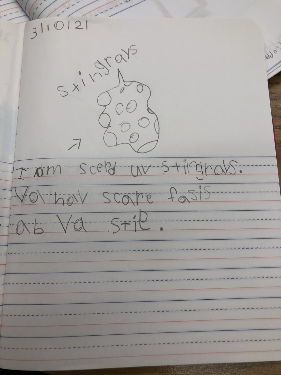 My kids love our QOTD! It’s a fun language/written response activity that gets the kids ready to work. BUT - can we please just talk about my kiddo’s response today - using sp strategies AND answering why! 😍 “I am scared of stingrays. They have scary faces and they sting” 👏🏼🙌🏼
