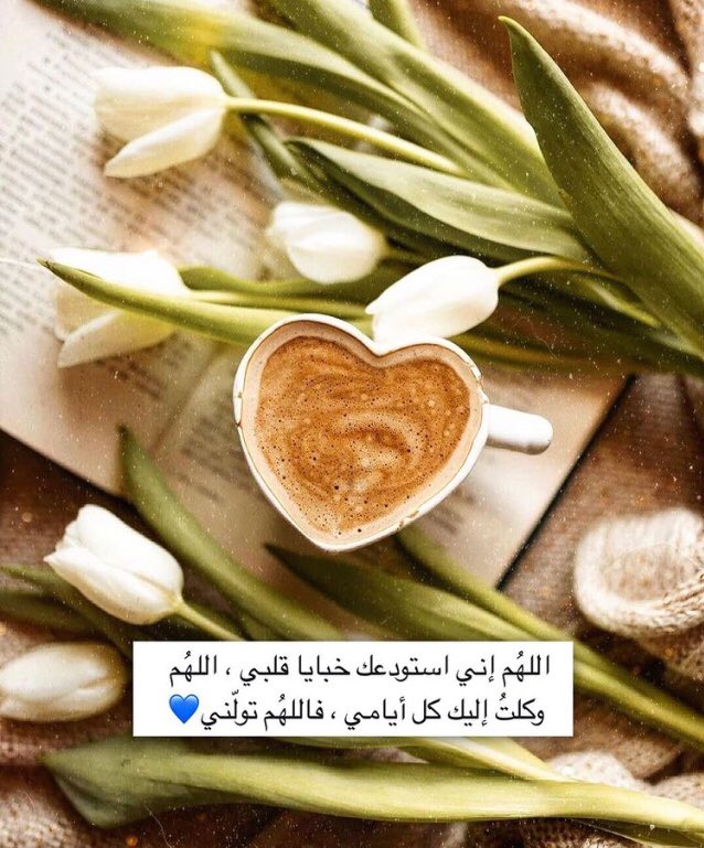 roroo07173373's tweet photo. https://t.co/kVVbWBzLLC