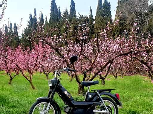Strategy2Web's tweet photo. https://t.co/GzsCy3iYgB
#passionmob #locationmobylettes #alpilles #alpillesenprovence #maregionsud #alpilleslovers #regionsud #mobylette #mobylettes #peugeot #peugeot103 #motobecane #motoconfort #moped #vintage #baladeenmobylette #baladeenmob #baladedujour https://t.co/0jaaBAneWl
