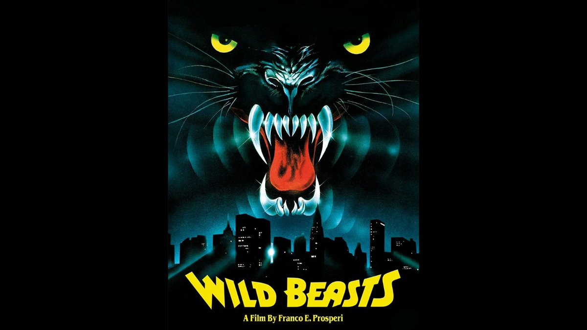 'The Wild Beasts': Never Ever Was There a Cat So Deadly {Retro Review} 

🐅🩸🐅🩸🐅🩸

horrorigins.com/articles/the-w…

HorrOrigins review: CJ Duke
#HorrOrigins #WhereHorrorisBorn #Horror #TheWildBeasts #FrancoEProsperi #LorraineDeSelle #AntonioDiLeo #UgoBologna #LouisaLloyd #RetroReview