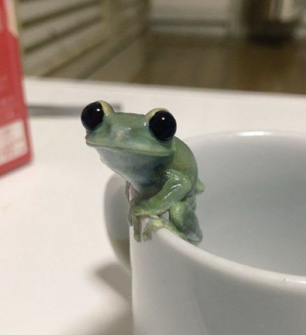 pixiething's tweet image. thinking about him