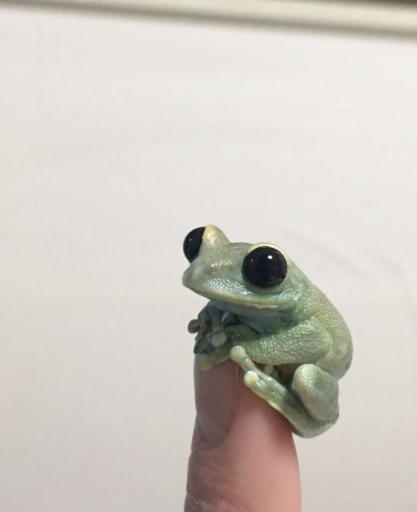 pixiething's tweet image. thinking about him