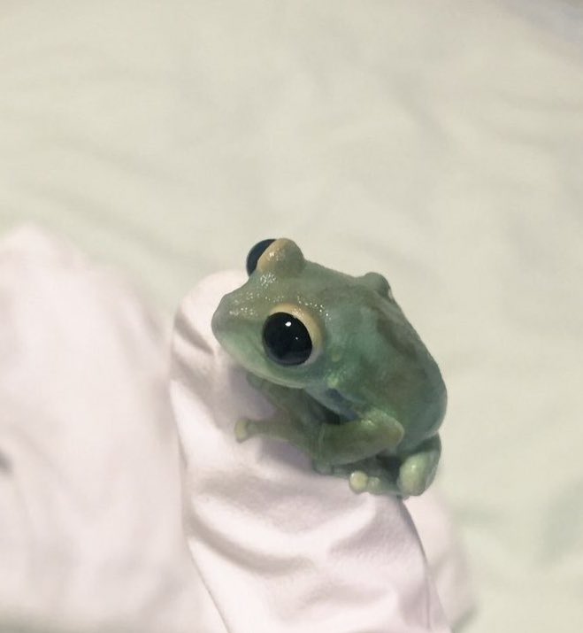 pixiething's tweet image. thinking about him