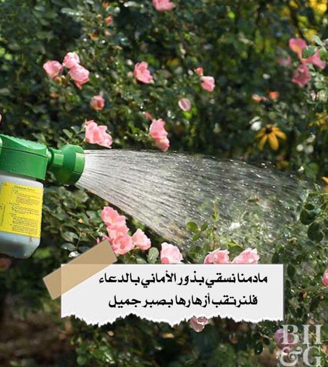 roroo07173373's tweet photo. https://t.co/0E7xjzhGeh