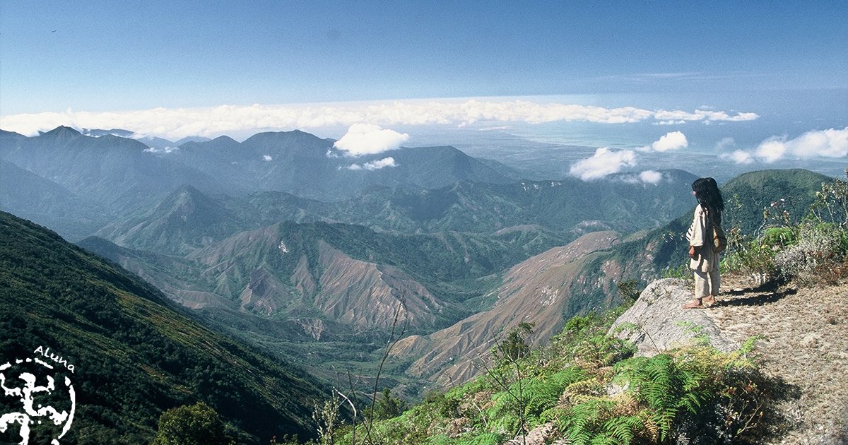La pensée kogi, par son lien profond avec leur environnement, nous invite à réintégrer le vivant et la nature dans la réflexion vers des paradigmes plus respectueux de cette relation.