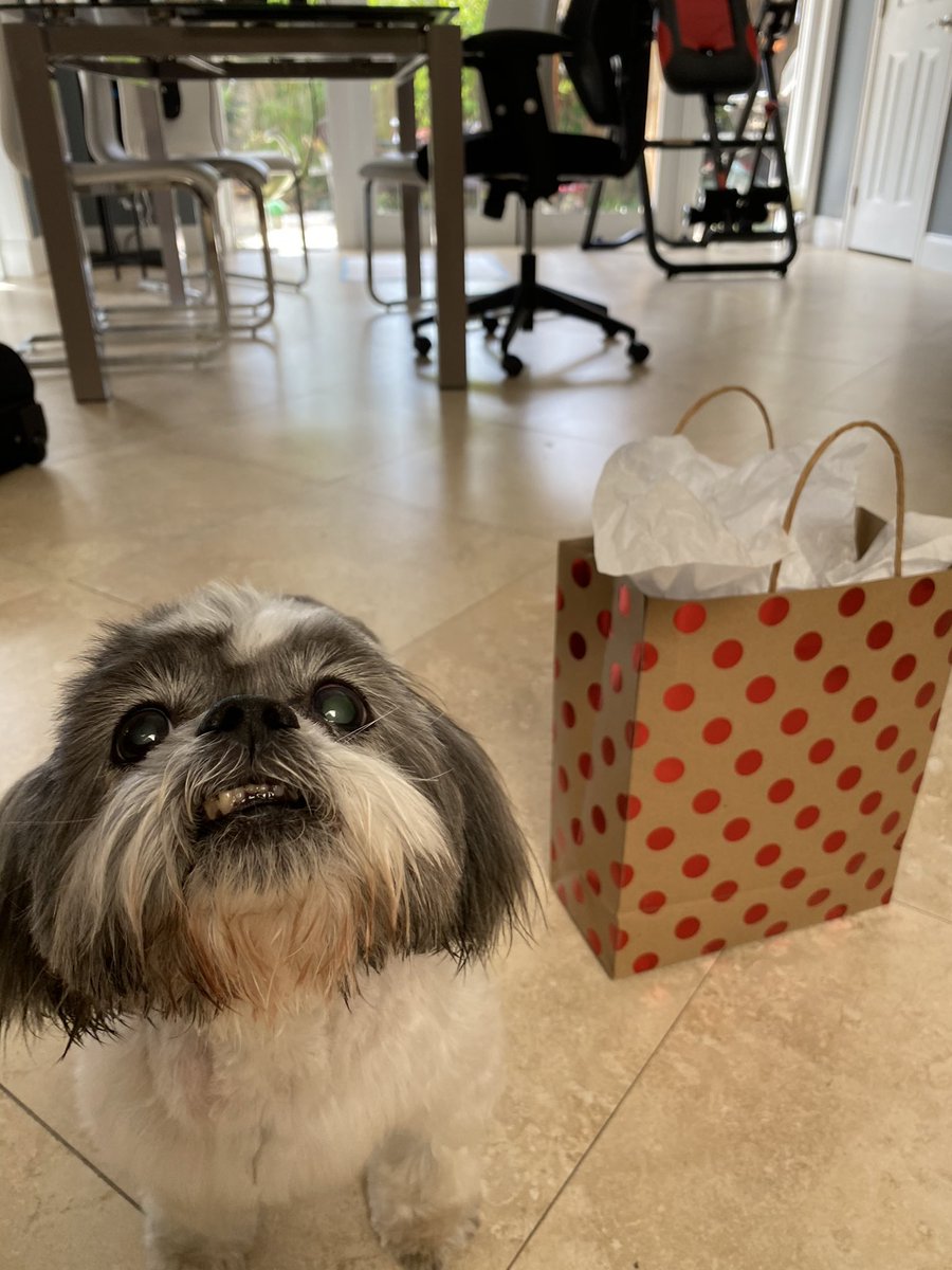 jaylinbl's tweet image. happy 16th birthday to my gordito lindo 🥳👔