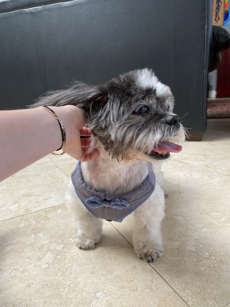 jaylinbl's tweet image. happy 16th birthday to my gordito lindo 🥳👔