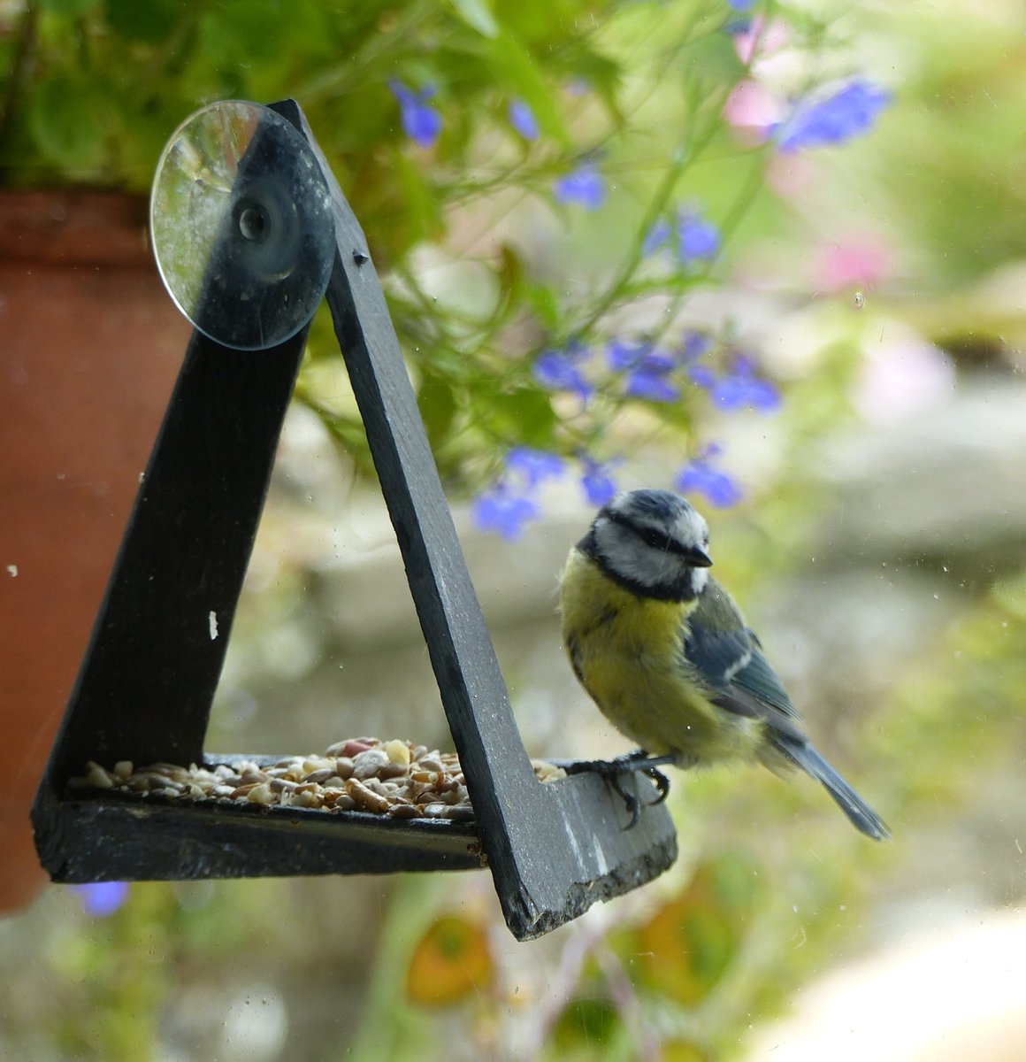 Slate and Nature tweet media