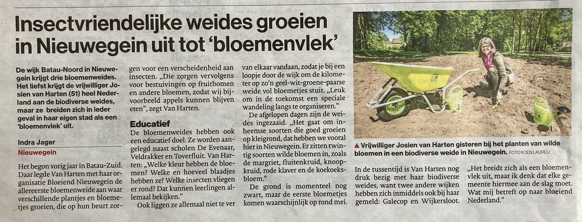 gerbenhorst's tweet photo. Vandaag in @redactieadun een mooie artikel over realisatie van 3 bloemenweides in #Batau-Noord. Goed initiatief van Josien van Harten! #biodiversiteit #Nieuwegein https://t.co/7DgsM7XmeV
