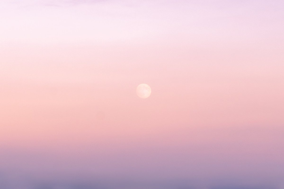 melopacare's tweet photo. Selenophile (n.) a person who loves the moon https://t.co/CfVIXSO7v5