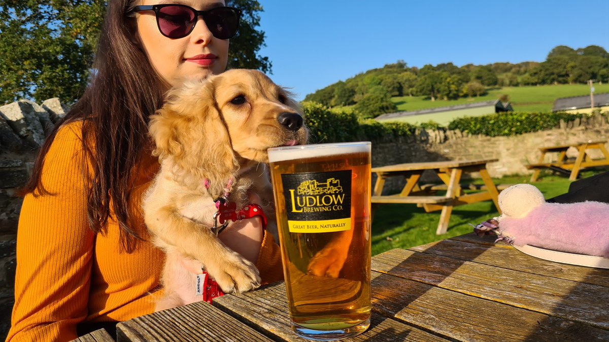 _OfficialRyanG_'s tweet photo. @westberksbrew Here's my Renegade pup's first flavour! She's more of a fan of West Berkshire Brewery's beer anyway... 🍺 https://t.co/NiAUgy7Ej1
