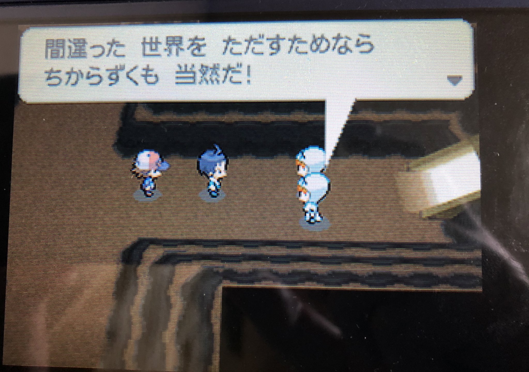 تويتر ポケモンブラック البحث في تويتر