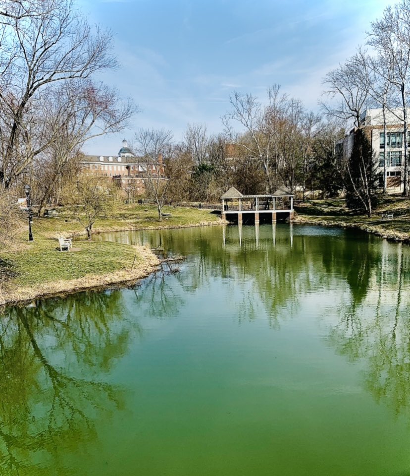 Looks like someone dyed Emeriti Pond GREEN! Must be GREEN BEER DAY! 
💚🍻🍀 Let’s get out there and drink!
#ToTheBars #GreenBeerDay