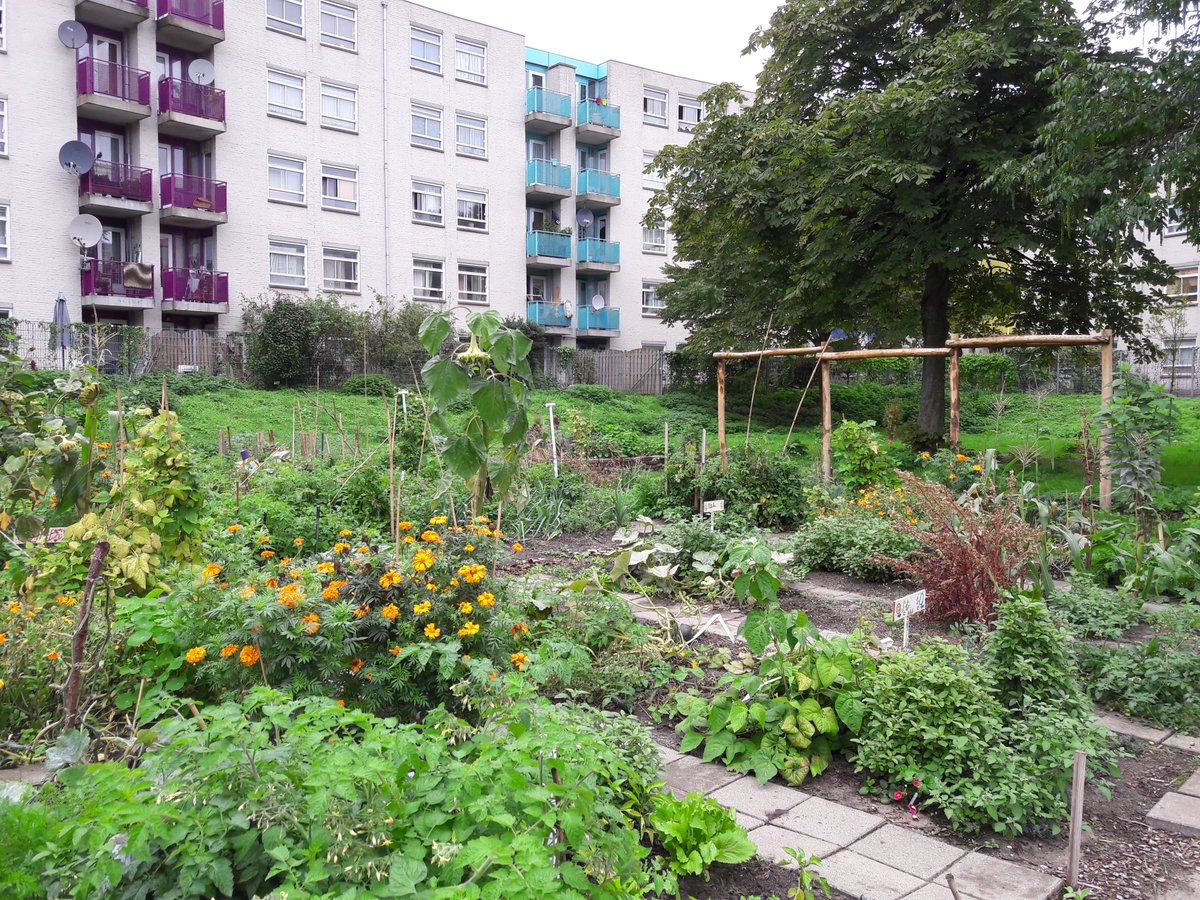 De nieuwsbrief van Maart is uit! Met een bijzonder project van Gerdien Griffioen in Amsterdam, de favoriete plant(en) van Wilna Kuipers, de tuintip komt van Lodewijk Nijsse en een er staat een interessant stuk in over de bodem van Peter Zwager. 
wildeweelde.nl/nieuwsbrief-ma…