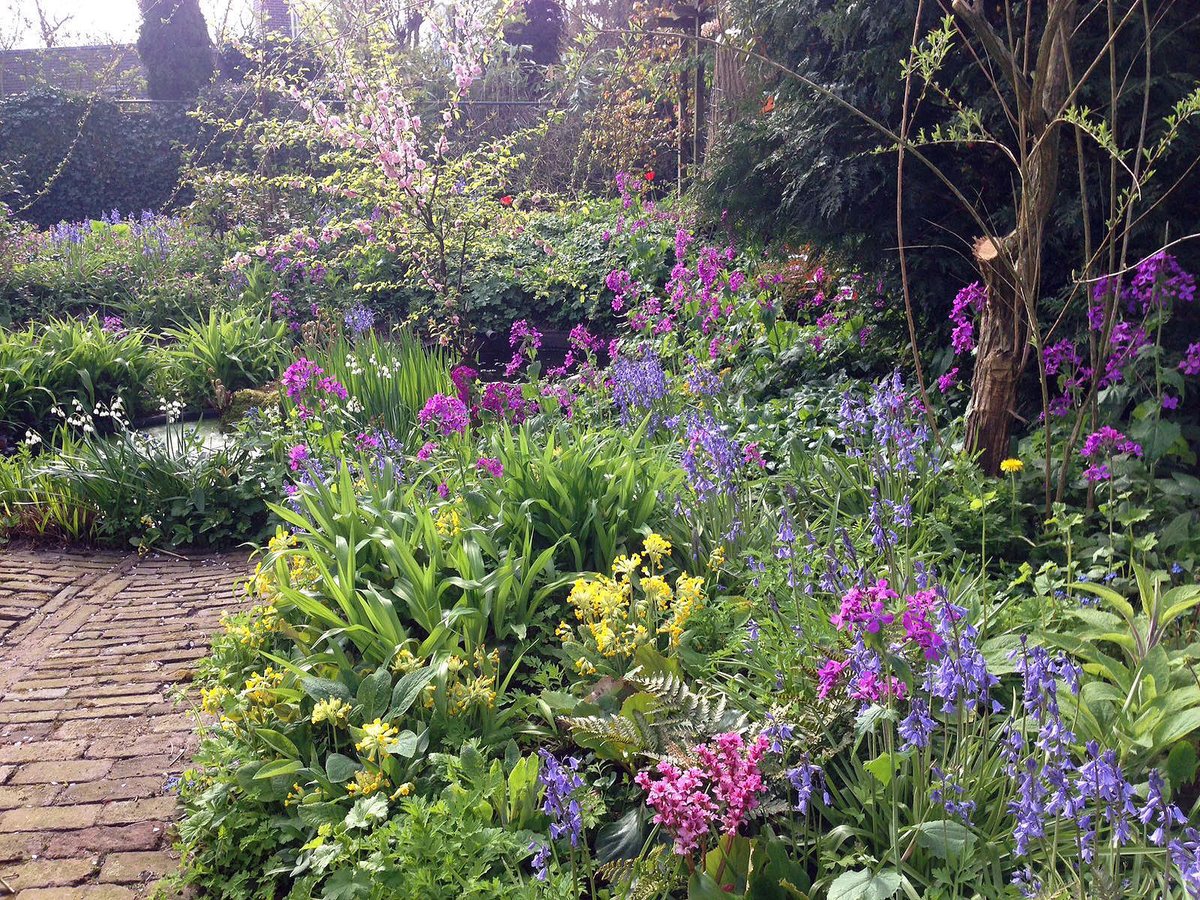 Wilde Weelde tweet media