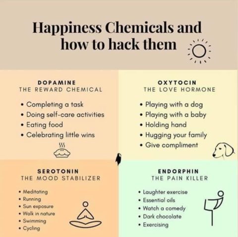 megs_bullen98's tweet photo. A fellow OT shared this with me today, happiness and hope is something we all need and this is an easy tool to have a self check with yourself, are you balancing your chemicals? What do you need more of? 💚⭐ #occupationaltherapy #selfcare #wellness #OT https://t.co/atSHIuTRbf