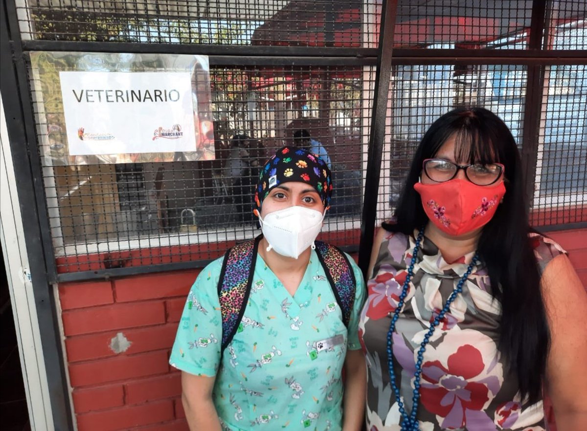 Seguimos trabajando
#CandidataConcejalaCerroNavia
             Olga Marchant 🙋🏾‍♀️💜
Gracias a mi amiga, compañera gran veterinaria Daniela Verá por todo el apoyo

#ArribaLasQueLuchan