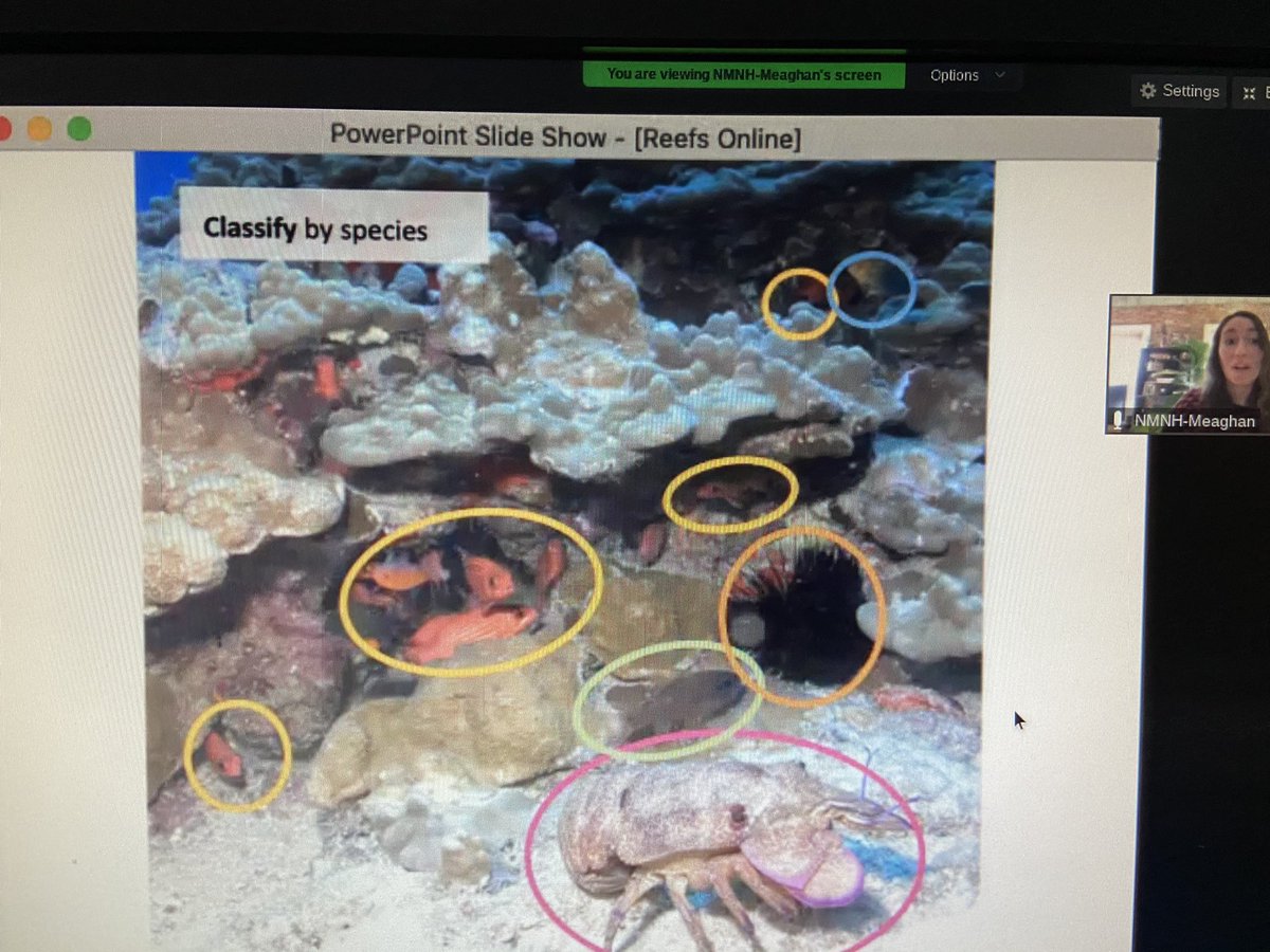 What an amazing virtual trip our 8th graders took to study coral reefs with scientists from the Smithsonian Museum!  Thank you Meaghan &amp; Heather! <a href="/BPSPrincipals/">BPS-Principals</a>