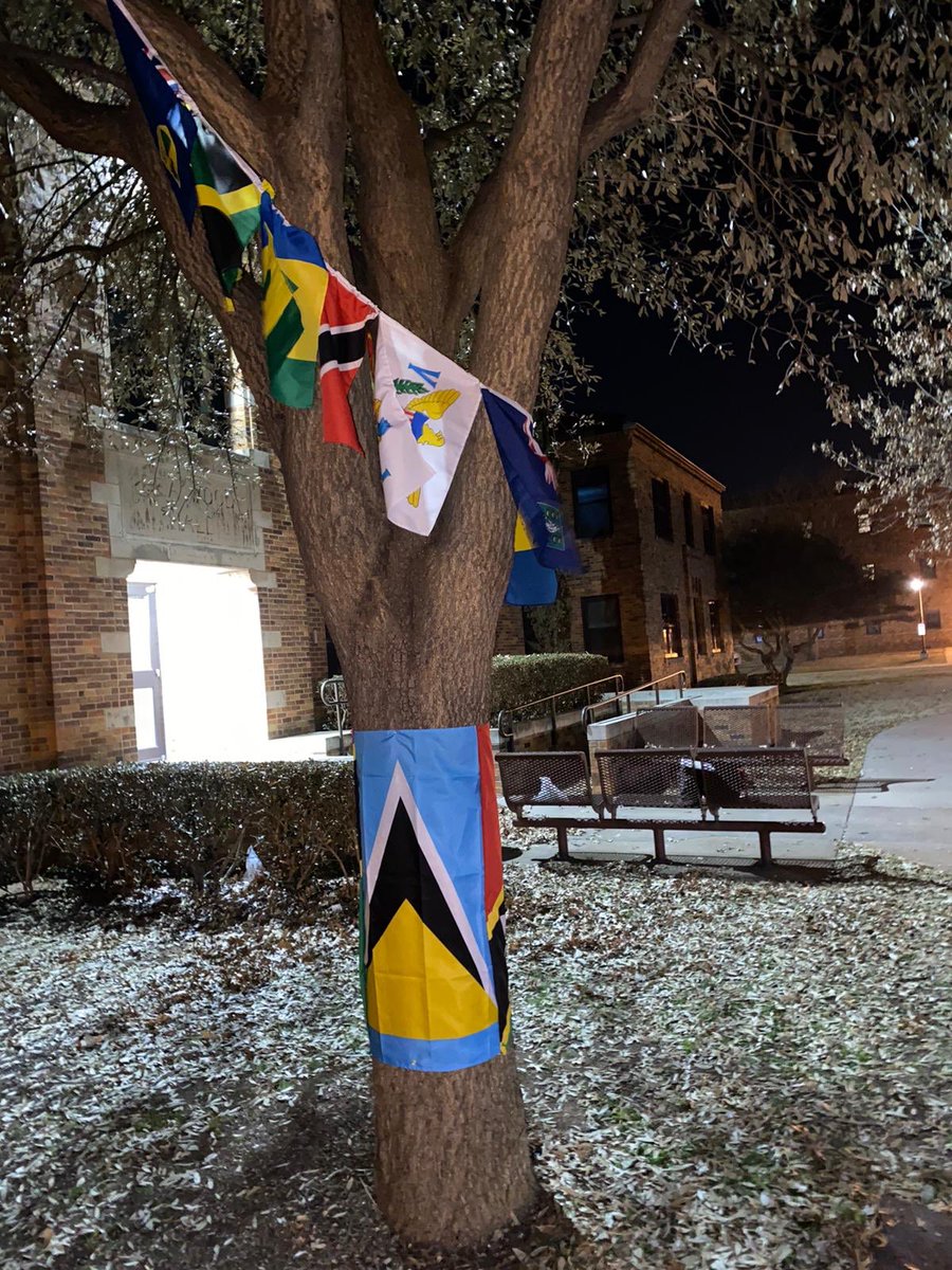 msutexas_cso's tweet photo. The CSO Tree is live, outside of Bea Wood Hall, for the rest of the week! 

Come take your photos, share them with us! https://t.co/QjYzewqoOG