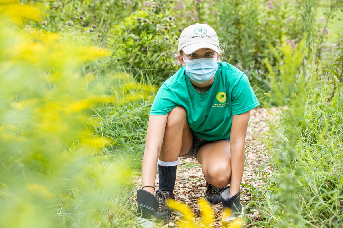 DEStateParks's tweet photo. DE State Parks Youth Conservation Corps (YCC) is now accepting applications for the 2021 Program! Spots are available statewide for young people age 14-21 in team and individual park experiences! 

For more information, and to apply visit https://t.co/5bg36AKCbY https://t.co/4tX4BZcJnm