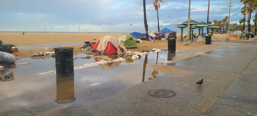 REVOLUTION RIBS 💥 tweet media