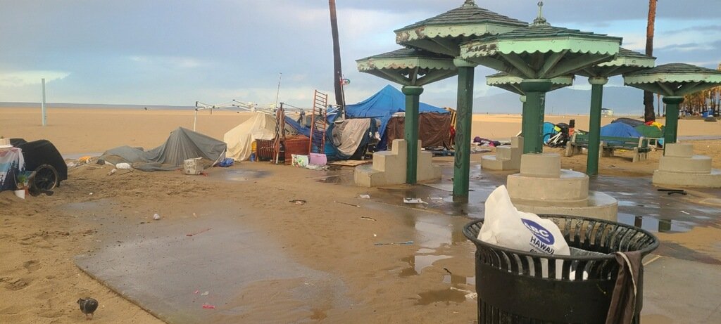 REVOLUTION RIBS 💥 tweet media