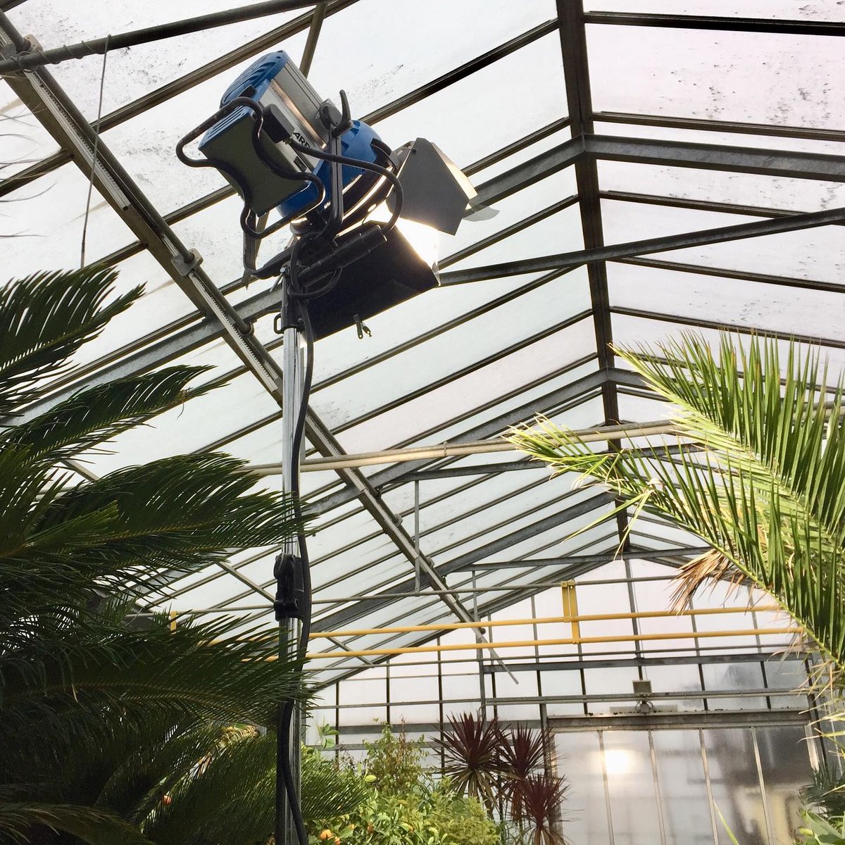 FranceLca's tweet photo. M18 in the jungle of Vienne 🍃😆
📷 @lisa.milkovits
•
•
•
•
•
#arrilighting #arrim18 #filmlights #lightingdepartment #arri #setlighting #hmi #femalelightingtech #setlife #cinematography #femalefilmmakers #filmmaking #lightingtechnicians https://t.co/Ws9Xzm64yB