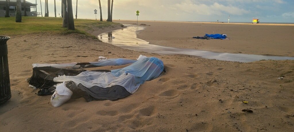 REVOLUTION RIBS 💥 tweet media