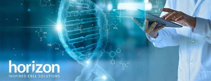 HZD_CellModels's tweet photo. A great start to day 3 of @KeystoneSymp: Precision Engineering of the Genome, Epigenome and Transcriptome! Be sure to check out @HZDiscovery's own Kevin Hemphill and his short talk on simultaneous gene knockout and activation coming up soon! #VKSOmicEngineering21 https://t.co/1EAhjULUkU