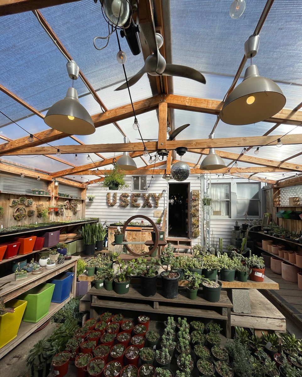 What are you doing today? #goodmorning #usexy #humpday #succulent