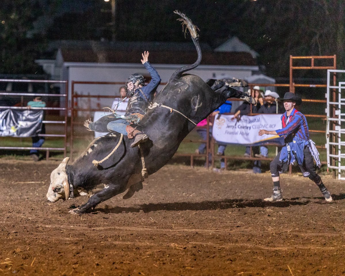🚨 WE’RE BACK🚨
The Wapello PRCA Rodeo is back and better than ever for the 2021 season and our 40th anniversary!! 🐂
This years rodeo will be July 16 &amp; 17th so mark your calendars‼️

Make sure you give us a follow to keep up with updates and events!